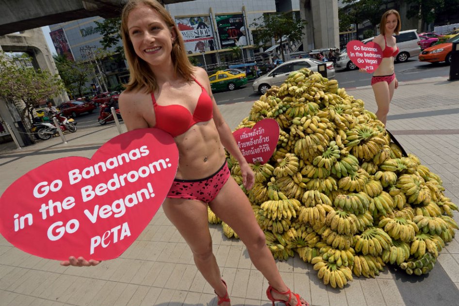 PETA alerta en Bangkok de las enfermedades por el abuso de consumo de carne