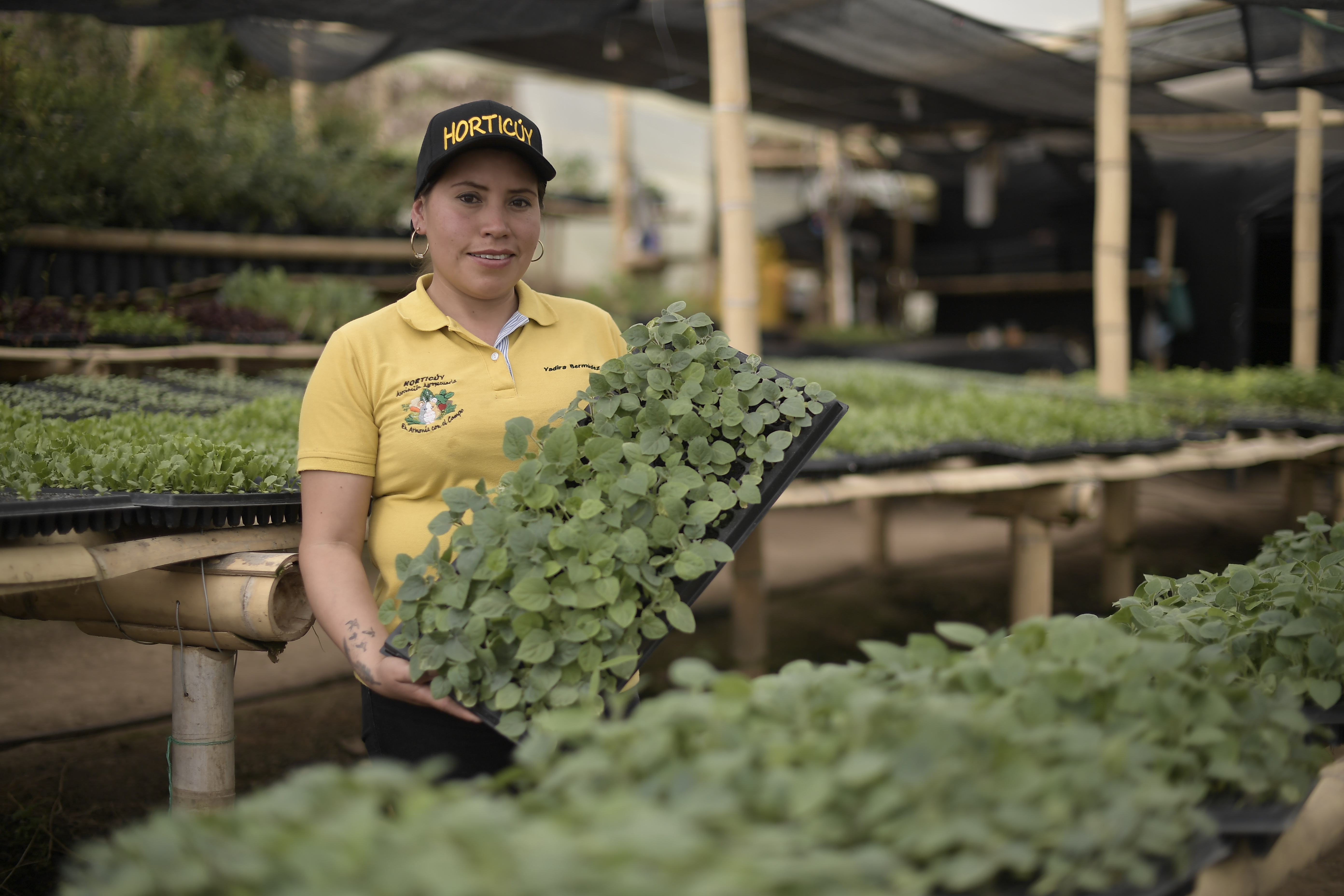 Miembro de la Asociación Horticuy.