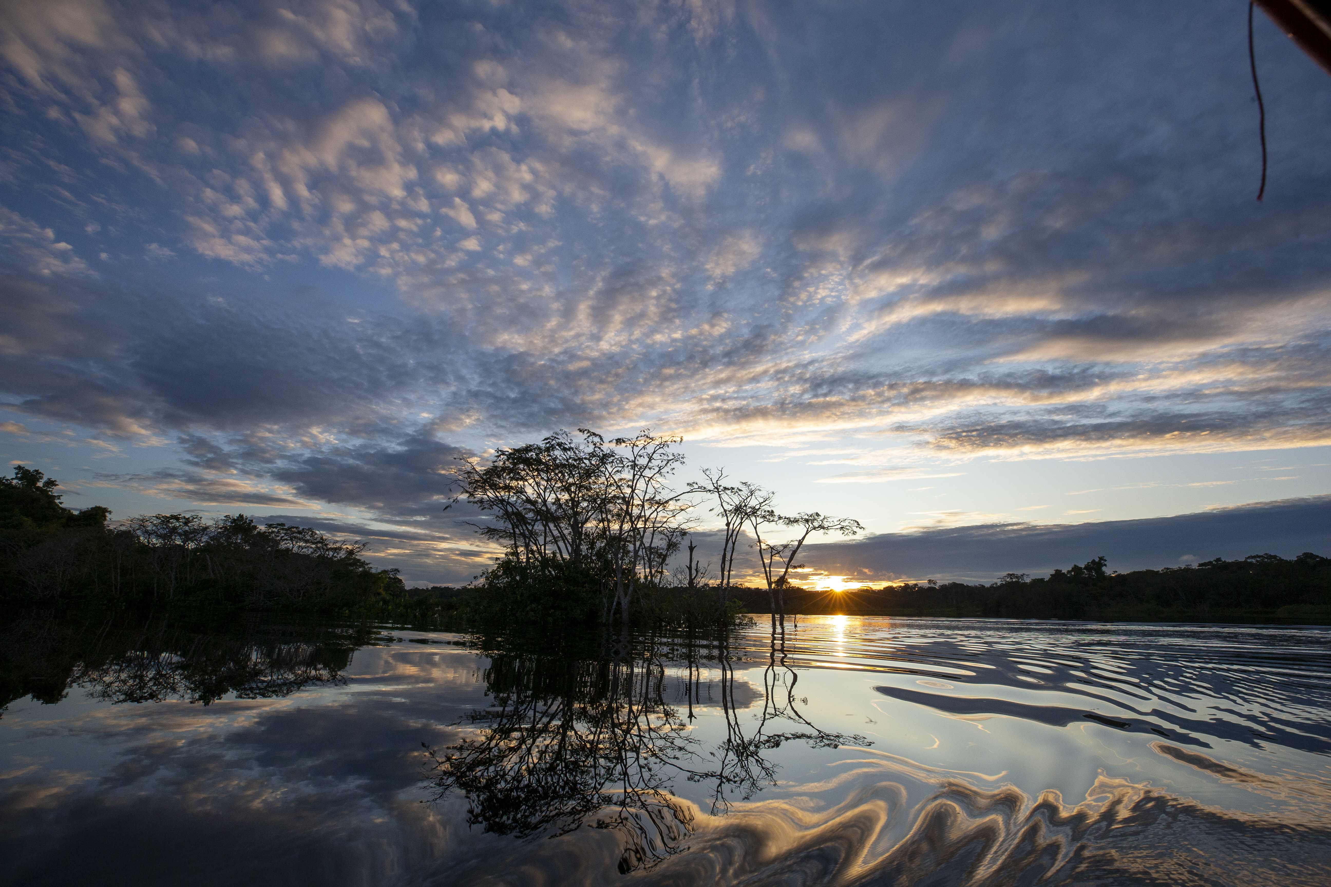 Este domingo Ecuador votará también por su futuro medioambiental