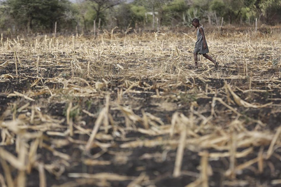 Innovación «low cost» para conservar en frío las cosechas en Kenia