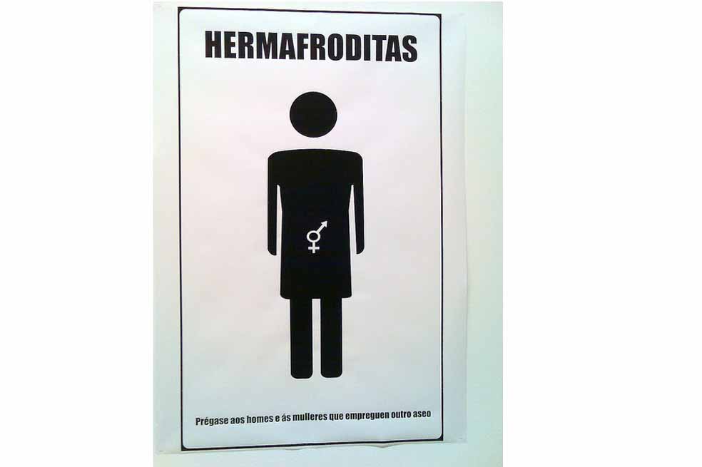 Alemania reconoce el "tercer género" para hermafroditas