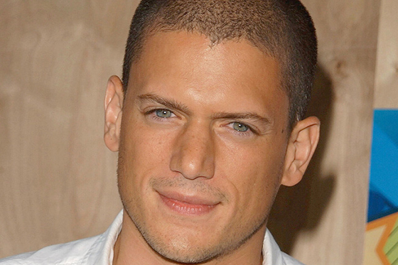 Wentworth Miller, protagonista de ‘Prision Break’, salió del clóset