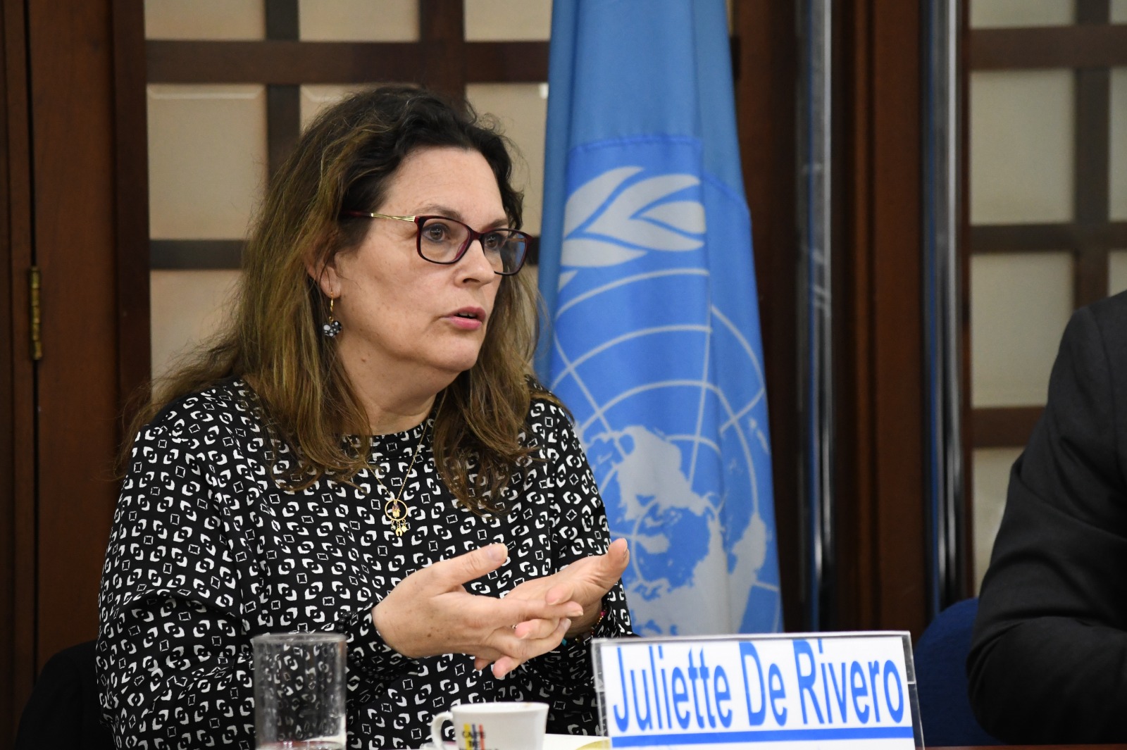 Congreso tiene la oportunidad inédita para reconocer a las mujeres buscadoras: ONU