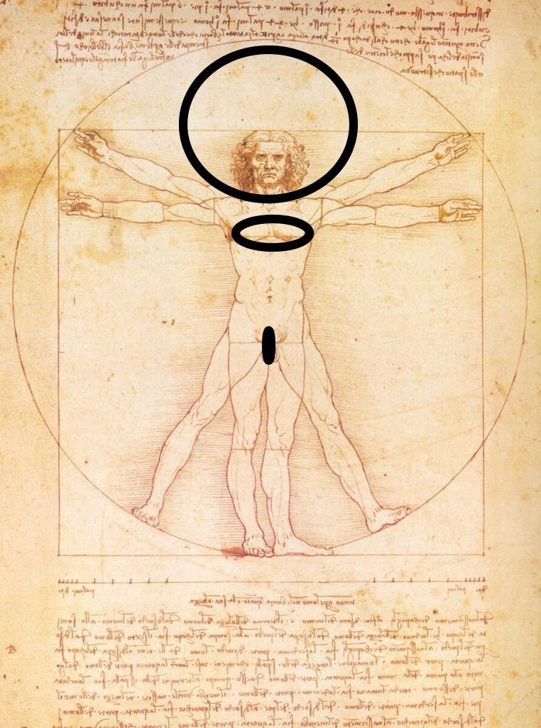 Por supuesto que en la región cabeza/pensamiento están la razón, “los conceptos”, las ciencias, las matemáticas, el lenguaje... Desde este centro (torre de control) se manejan las áreas del conocimiento consideradas importantes, prioritarias, “masculinas” o viriles: competencias “duras”, asociadas al éxito, al poder político y económico... En este sistema solar, la cabeza (el cerebro y la mente) es el Astro Sol alrededor del cual gira todo lo demás. Por lo general, en el currículo, ocupan las materias de esta zona más del 85 % del tiempo...