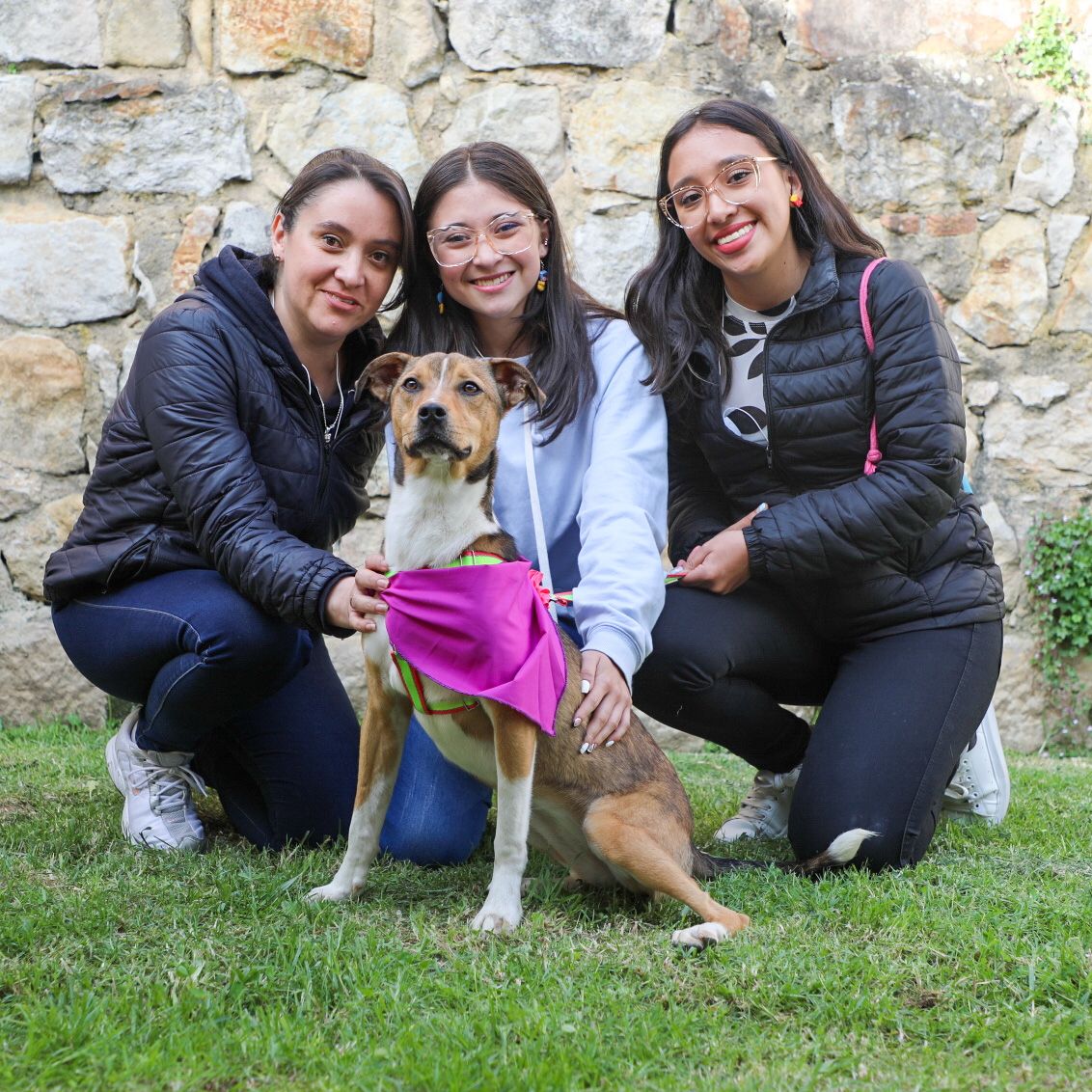 Para los perros será obligatorio llevar un collar y una correa para transportar el animal a su hogar. Para las mascotas de manejo especial se requiere tener un bozal, como lo dispone la normativa.