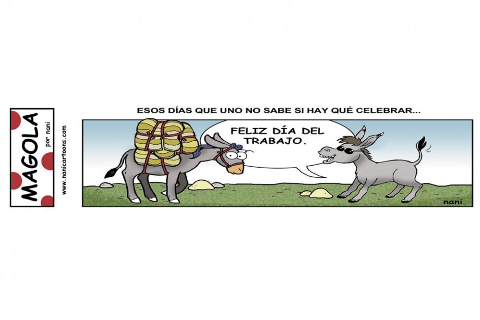 Feliz día