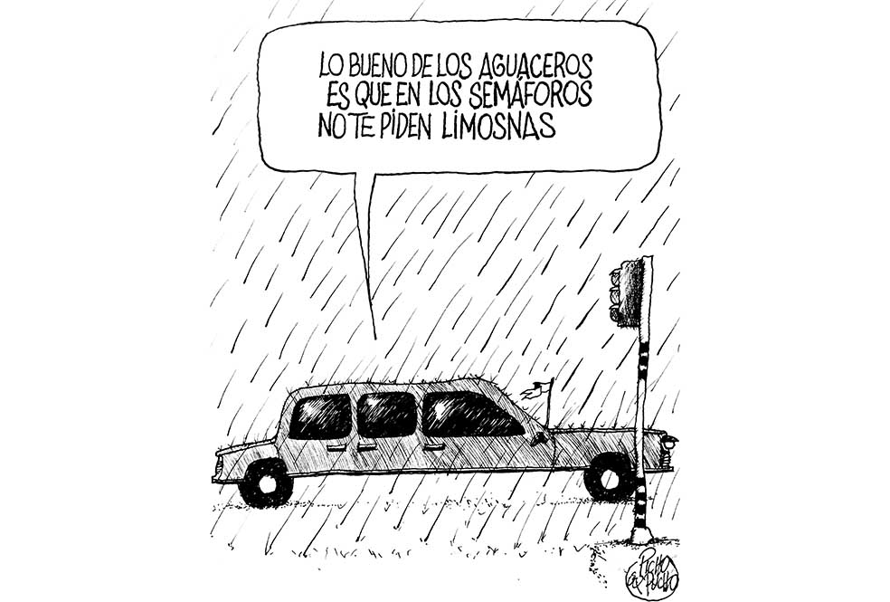 Picho y Pucho