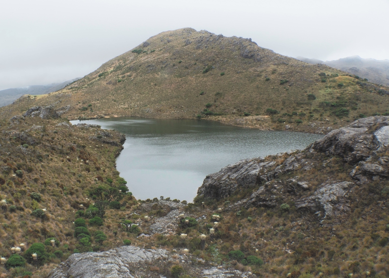 Páramo de Santurban