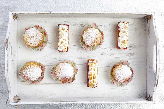 Receta navideña: Barritas y ponquecitos con arándanos y chispas de chocolate