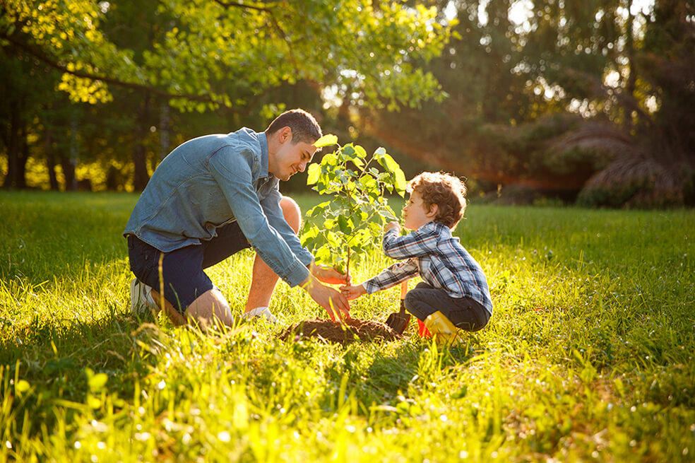 Educación ambiental en confinamiento: cómo aprender ecologismo desde casa