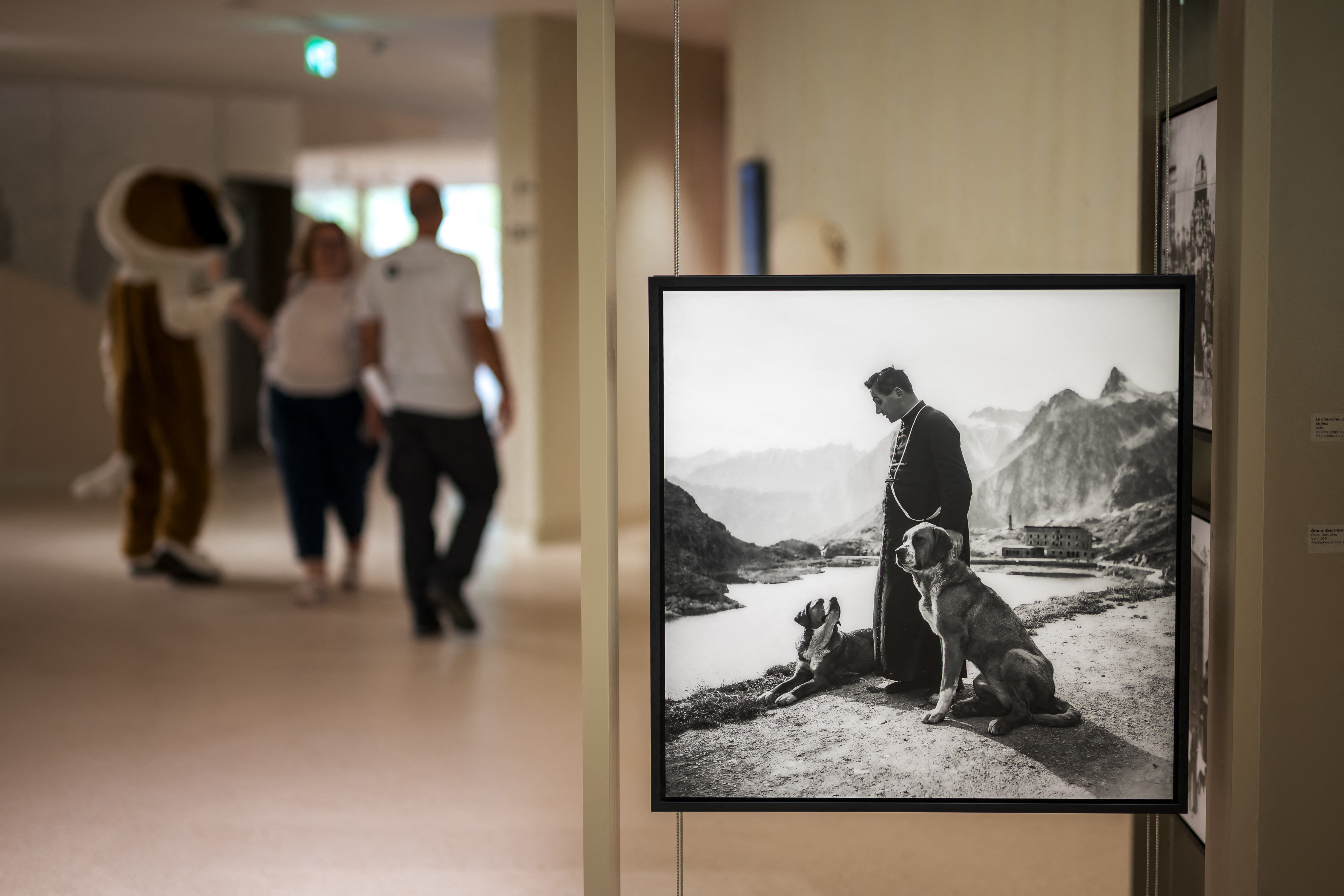This photograph shows an old picture of a Saint Bernard dog and a priest taken at the Great Saint Bernard pass and diplayed at the Barryland museum and parc with a group exhibition in Martigny, in the Swiss Alps, on June 26, 2025.
