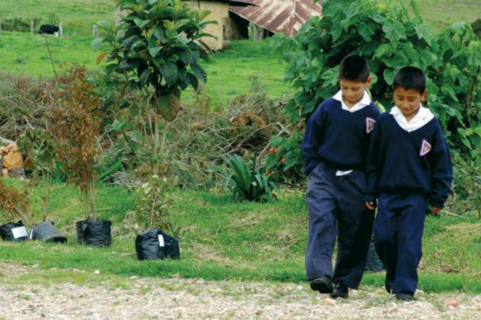 Continúa suspensión de clases en escuelas del Catatumbo por enfrentamientos armados