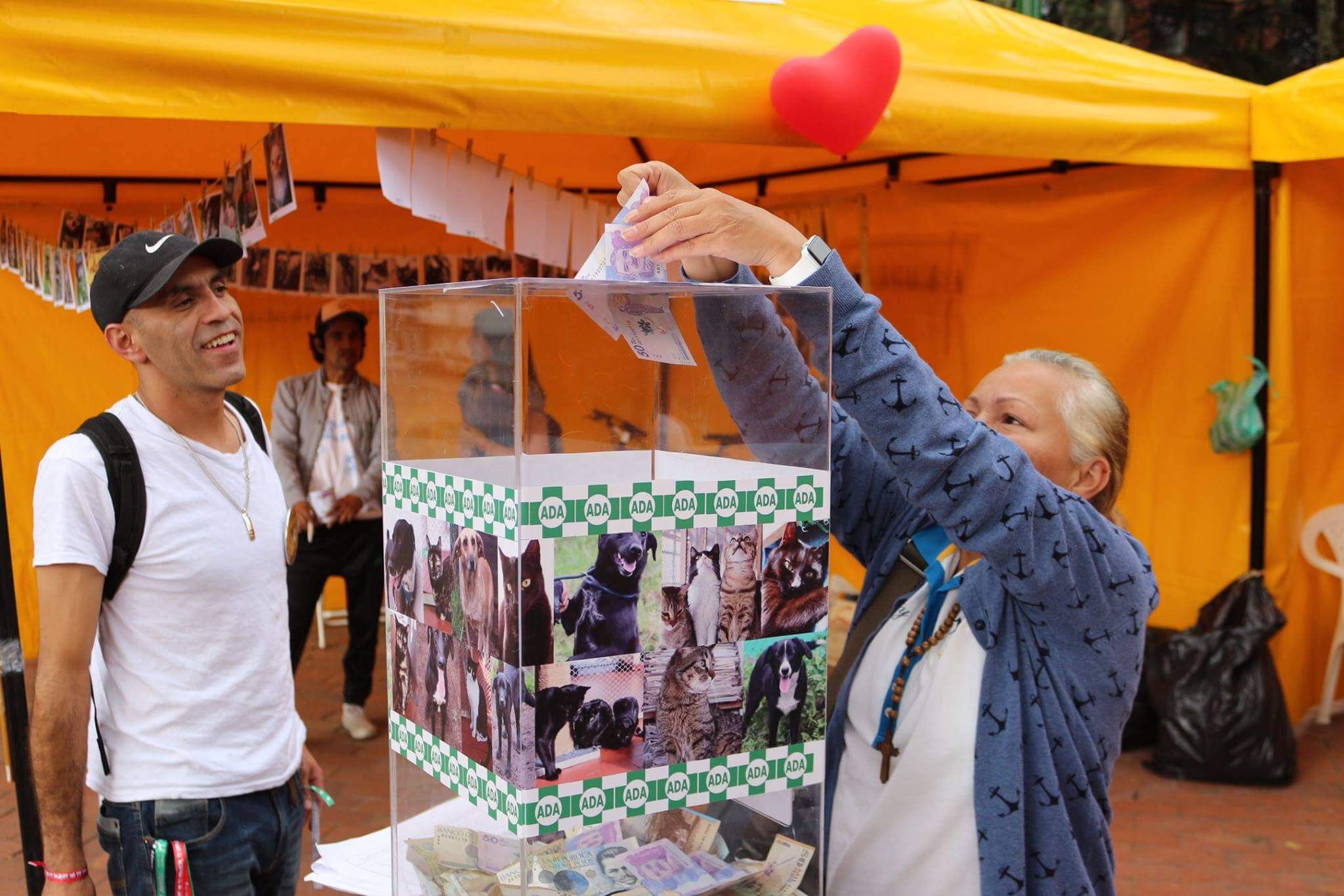 Prográmese para la quinta donatón anual por los animales sin hogar en Bogotá