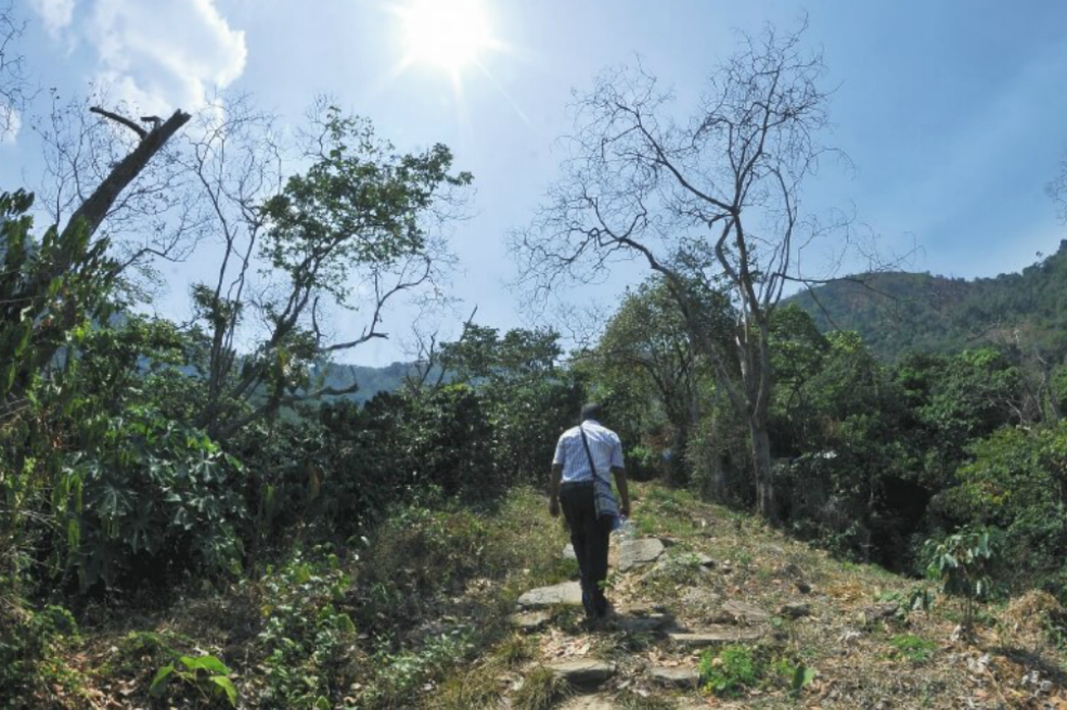La disputa por cuatro millones de hectáreas en el Guainía