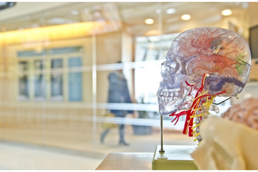 Bogotá contará con el primer laboratorio de investigación en neurocirugía de Latinoamérica