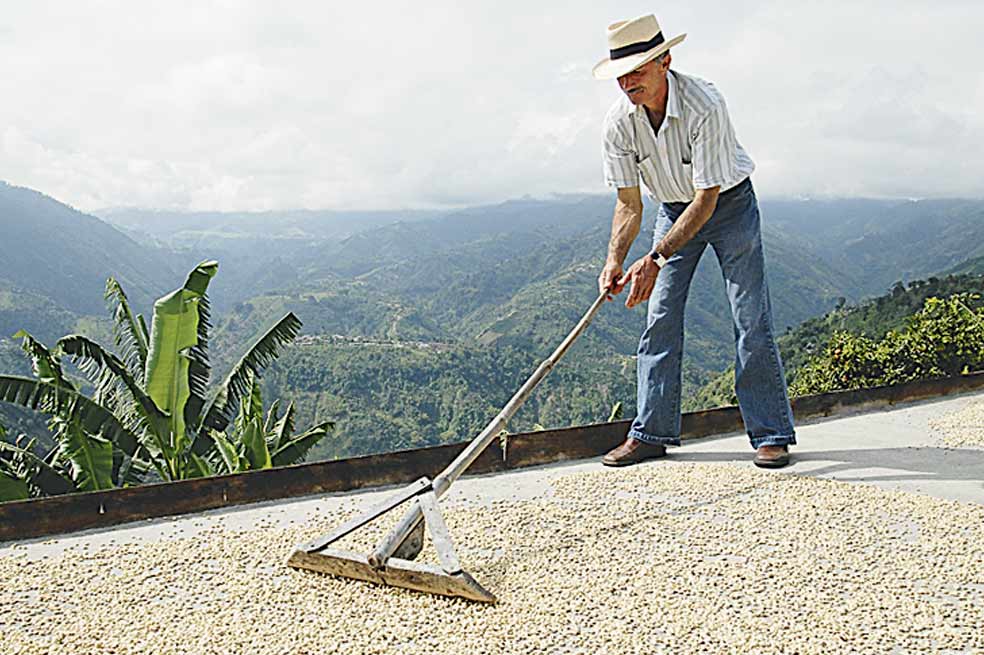 La primera prueba del TLC