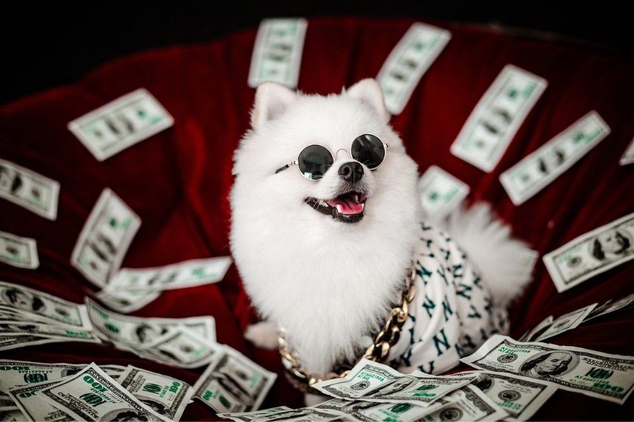 ¡No creerás cuánto dinero tienen! Estas son las mascotas más ricas del mundo
