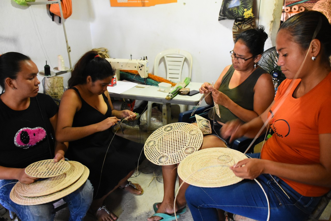 Las artesanas tejiendo desde sus casas.Cortesía“Este programa, que en 2019 beneficiaba a cerca de 1.500 artesanos en 10 municipios, ahora llegará a más de 4.000 artesanos en todo el departamento, entre líderes de talleres, familias y colaboradores”, dijo Elsa Noguera, mandataria de los atlanticenses.