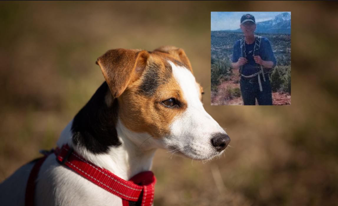 Perrito no se separó de su dueño después de morir mientras hacían una excursión