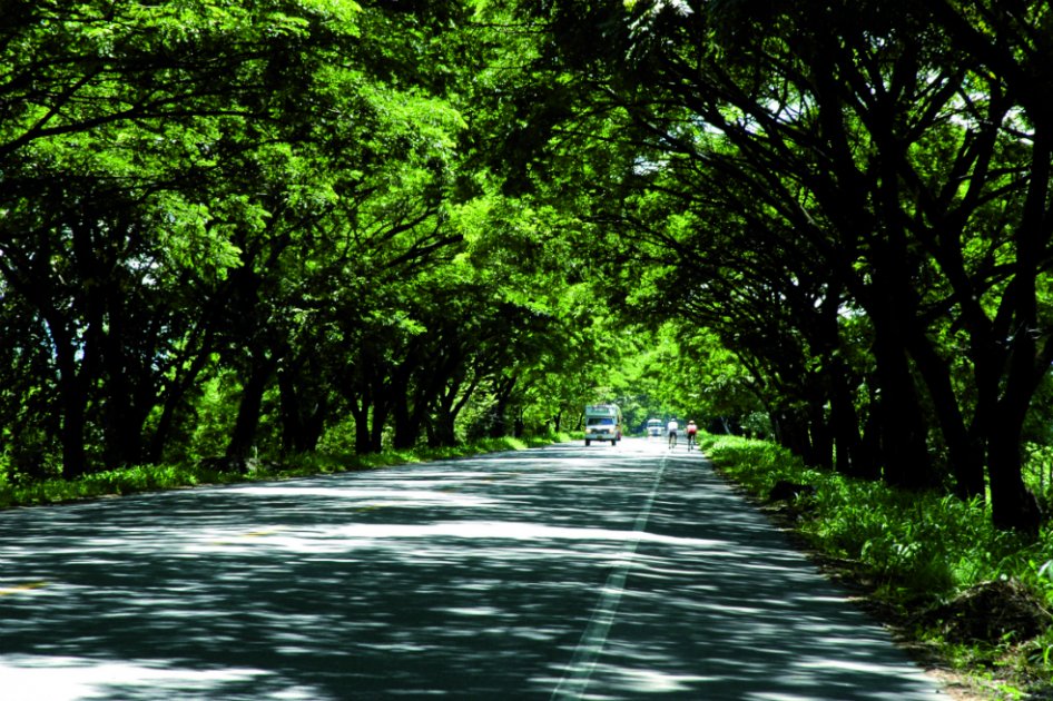 Habilitadas 28 rutas para viajar este puente festivo