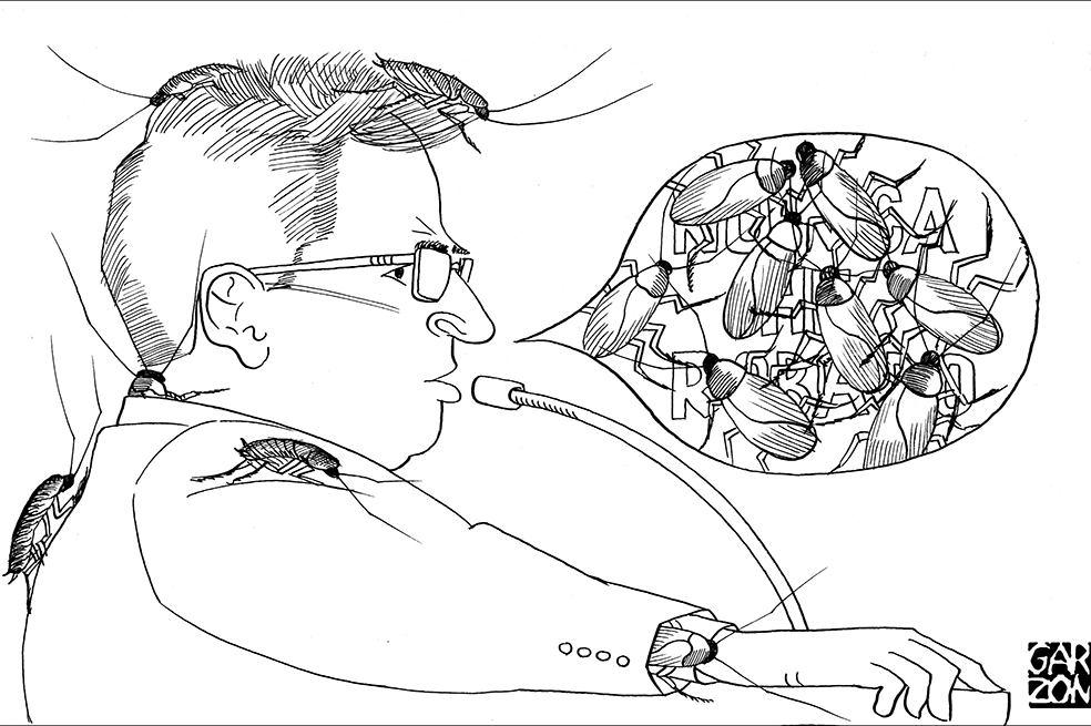 Cartones de Garzón