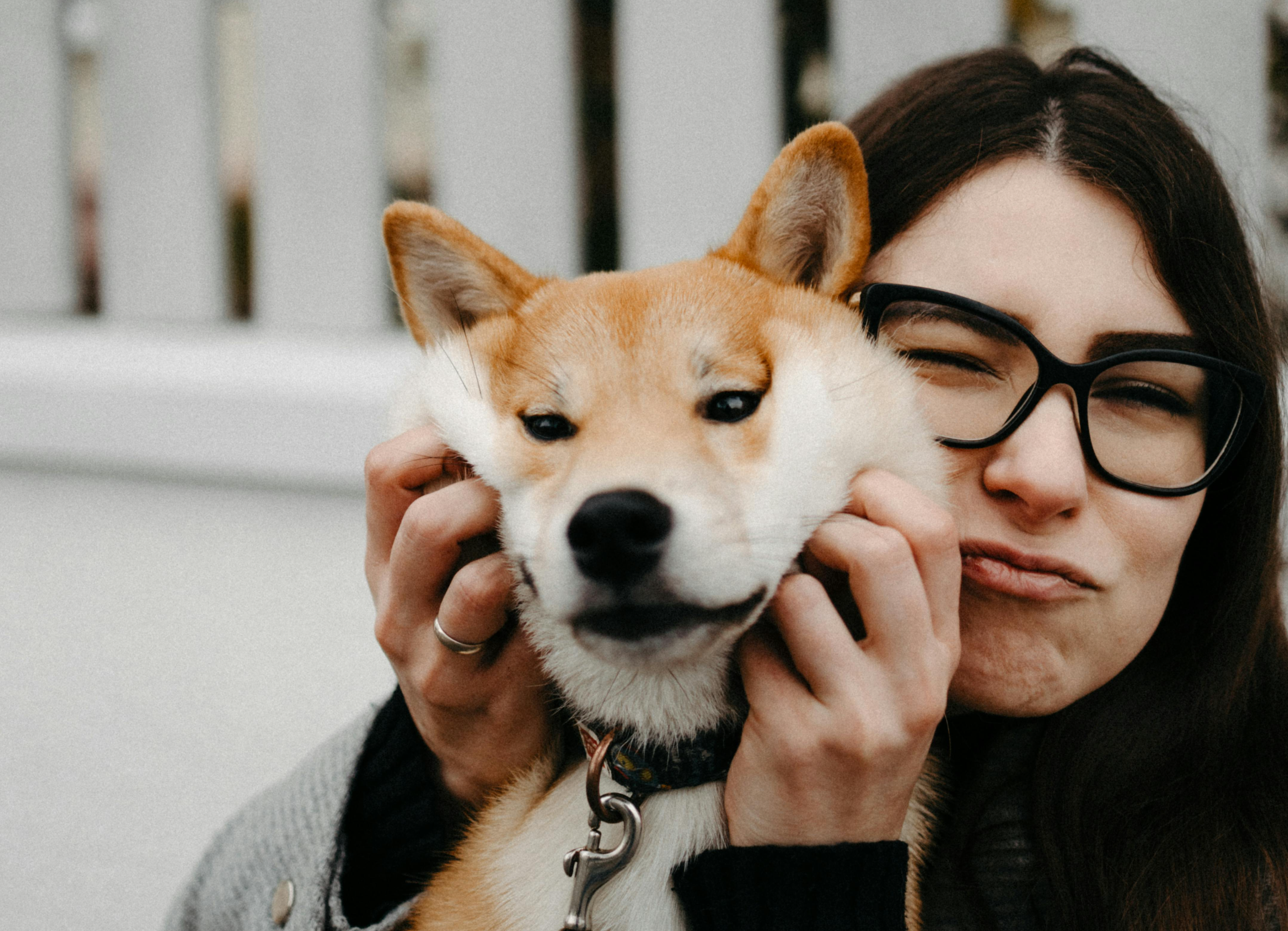 ¿Tener un perro alarga la vida?