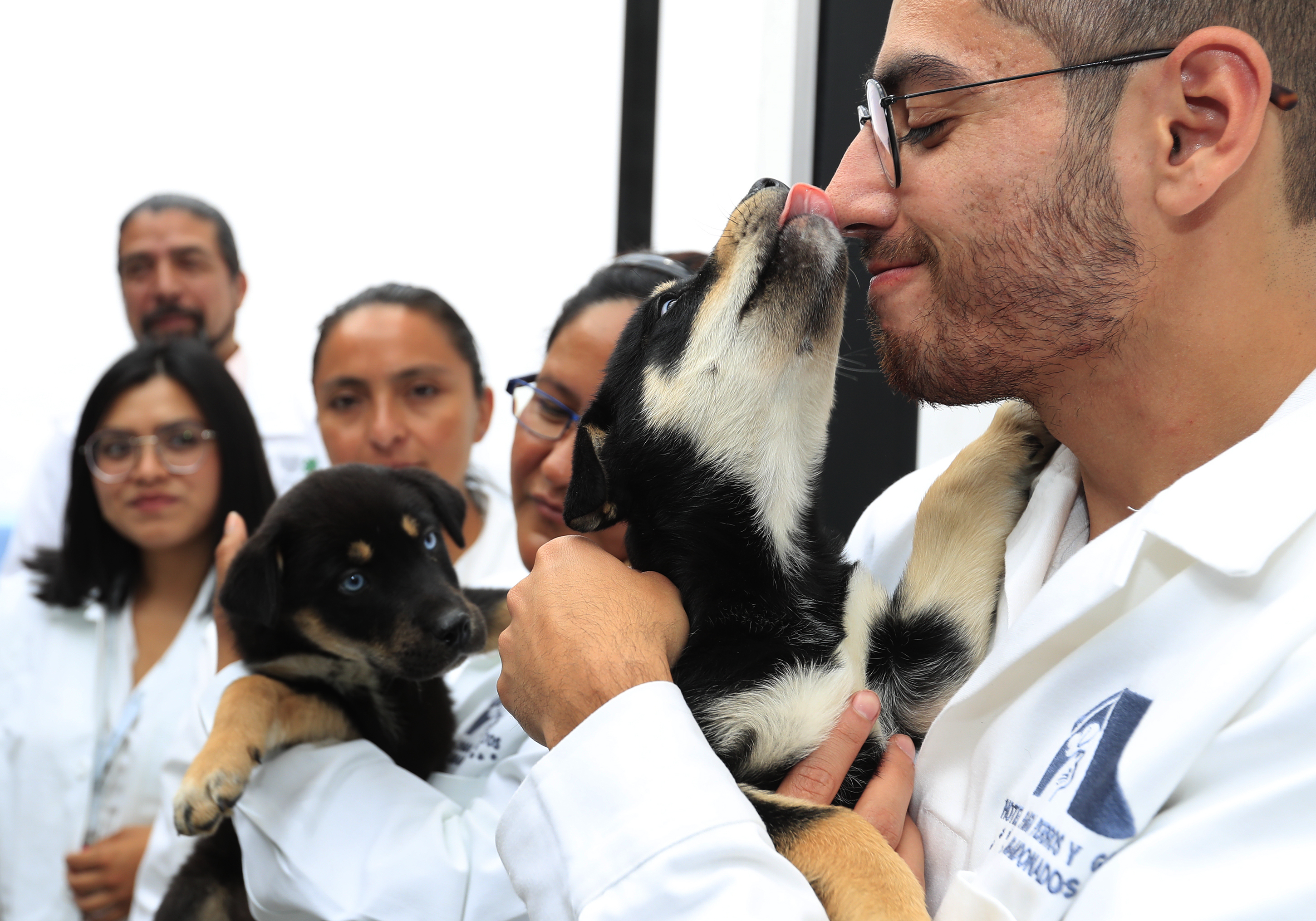 MEX6056. CIUDAD DE MÉXICO (MÉXICO), 25/05/2023.- Un cachorro canino es atendido por un veterinario en un hotel para perros y gatos inaugurado hoy, en la Ciudad de México (México). Con el objetivo de crear conciencia sobre los animales abandonados en calles de México, este martes se inauguró en la capital del país el primer hotel para perros y gatos que viven esta situación, el cual brinda estancia, veterinaria, esterilización, estética y adopción de manera gratuita. EFE/Mario Guzmán
