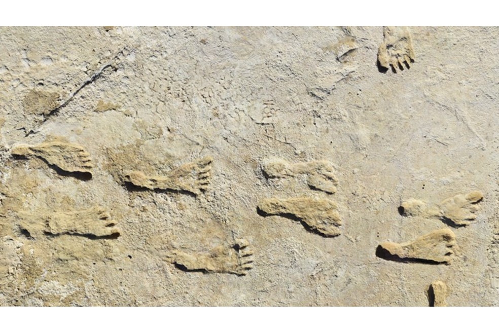 Huellas de 23 mil años podrían ser los rastros más antiguos de humanos en América