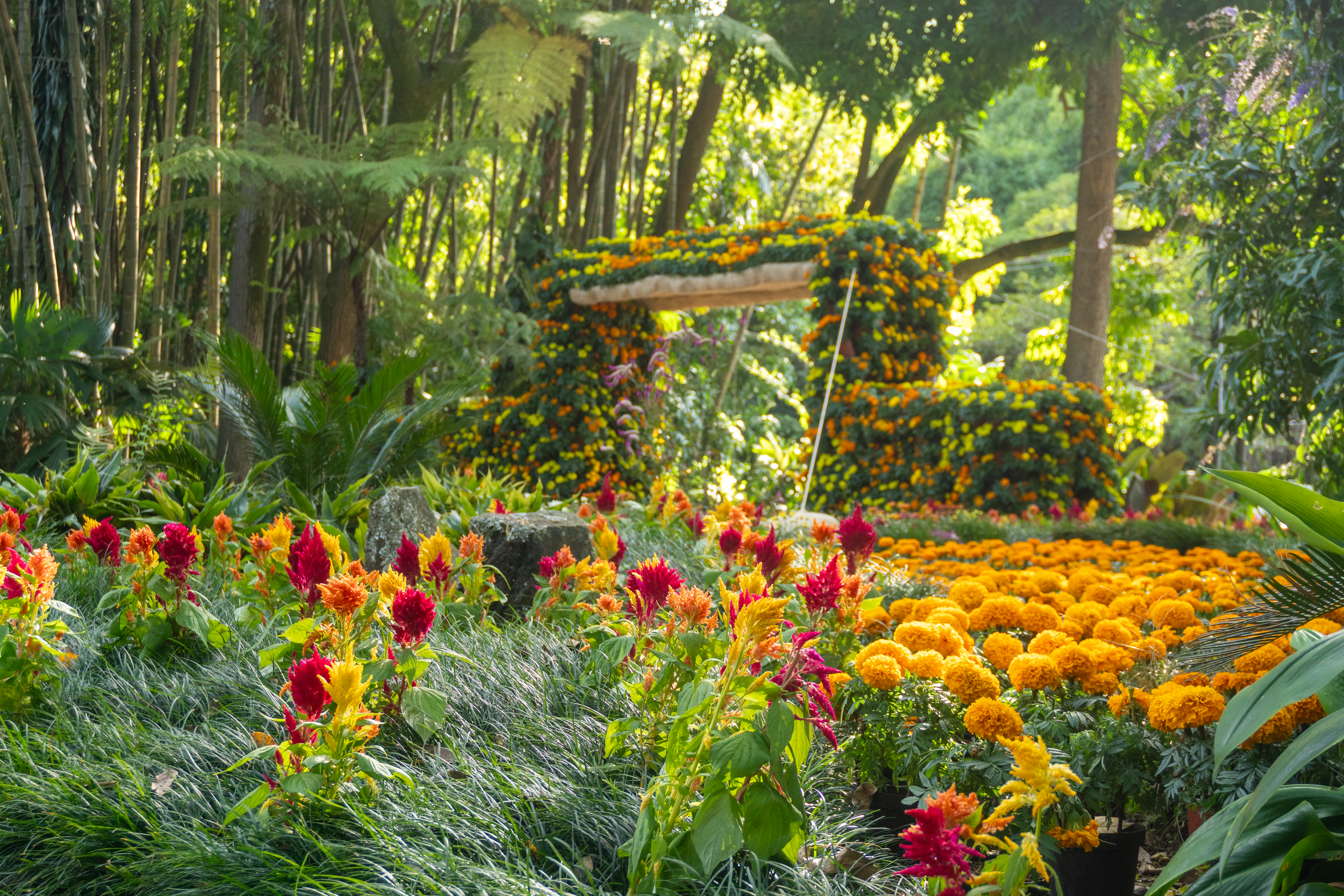 Flores para la vida: Viva el Día de Muertos con el Jardín Botánico de Medellín