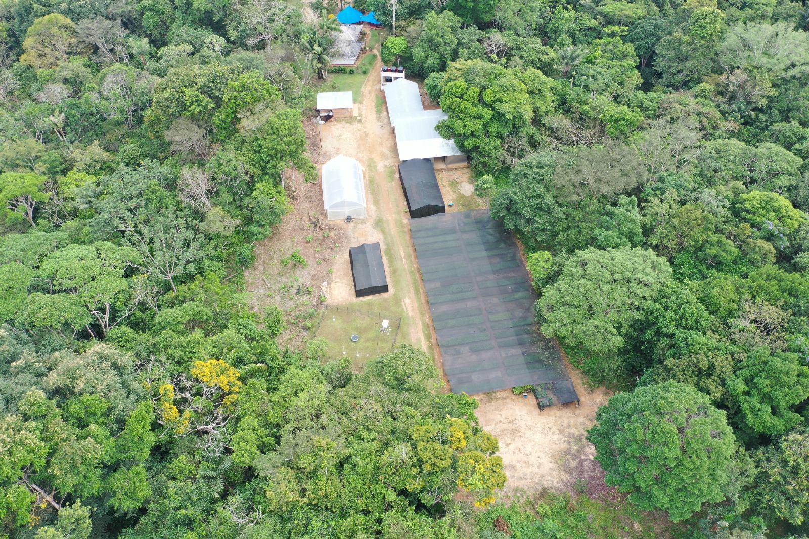 La estación experimental del Sinchi “El Trueno” se ubica en el municipio de El Retorno (Guaviare).