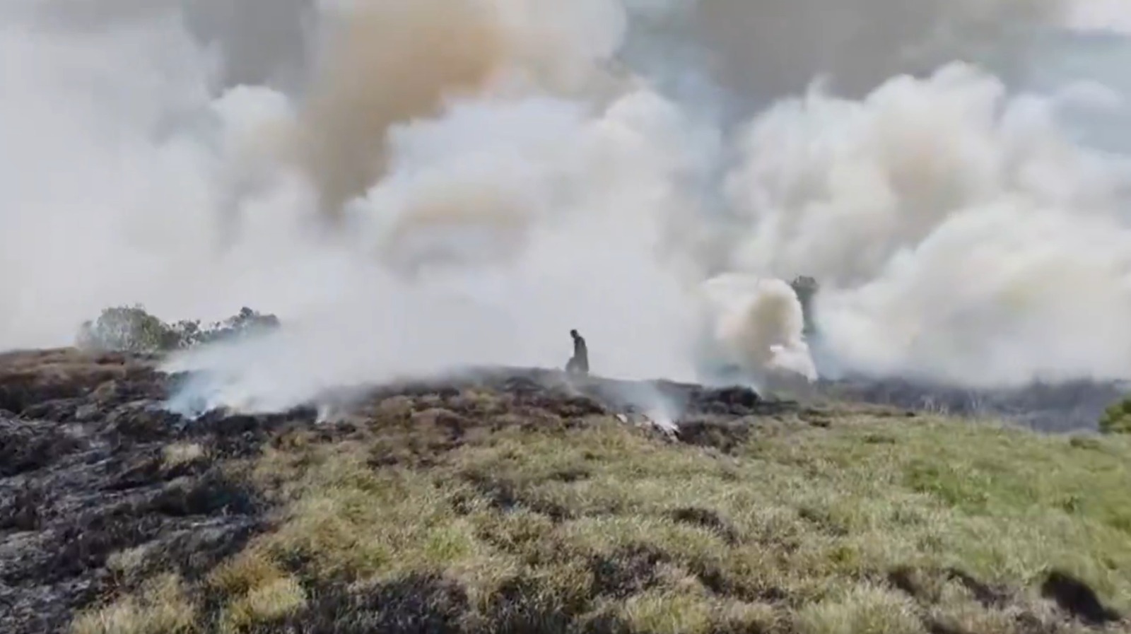 Fuerte incendio forestal en humedal Jaboque moviliza a bomberos de Bogotá y Cota