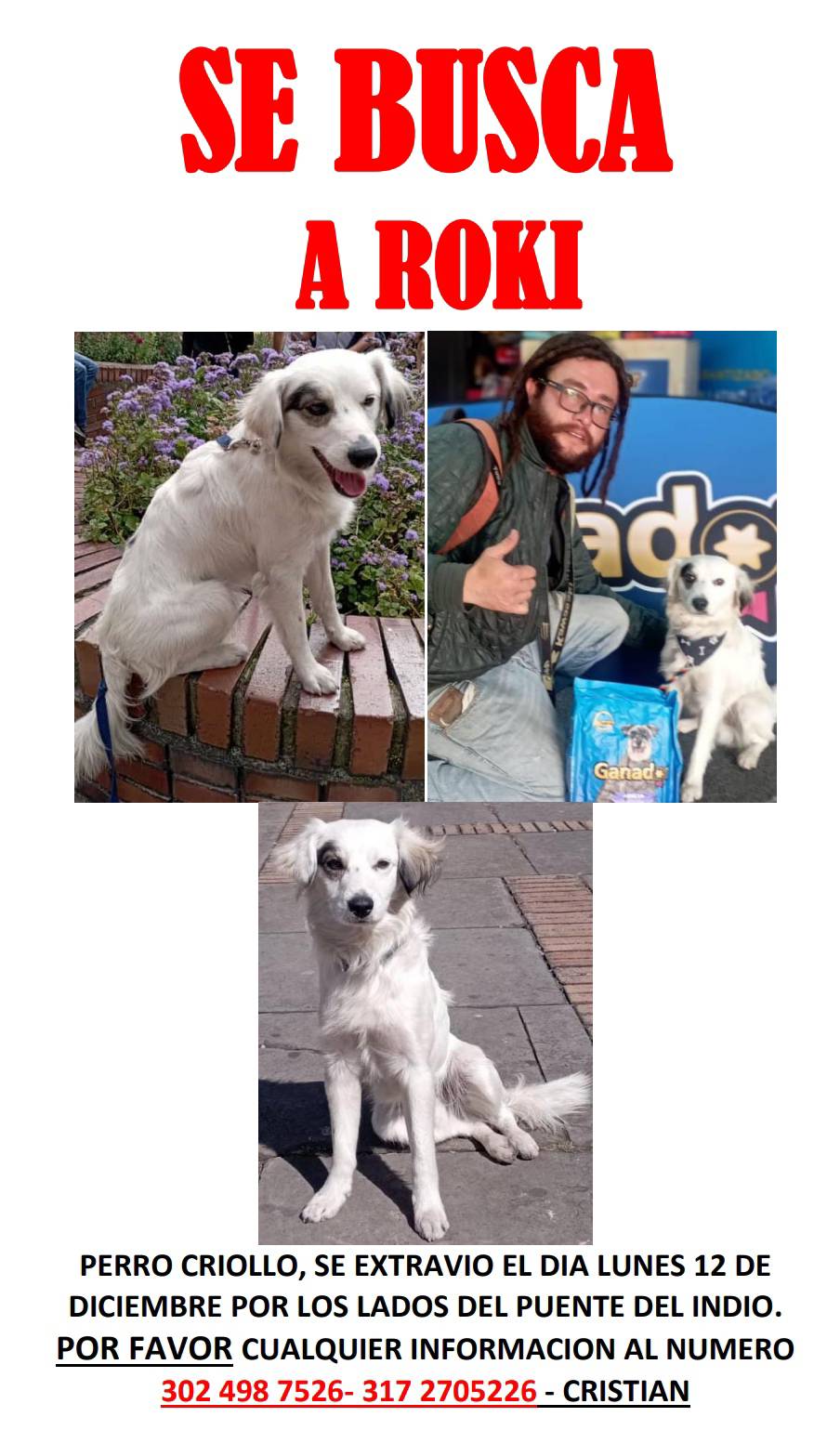 Perros perdidos en Bogotá, ¿los ha visto?