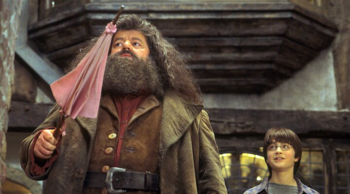 “No hay Hogwarts sin ti, Hagrid” y otras escenas del actor de Harry Potter