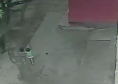 Rescataron niñas que fueron secuestradas para pedir limosna