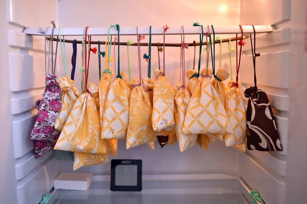 Murciélagos esperan la primavera dentro de un refrigerador