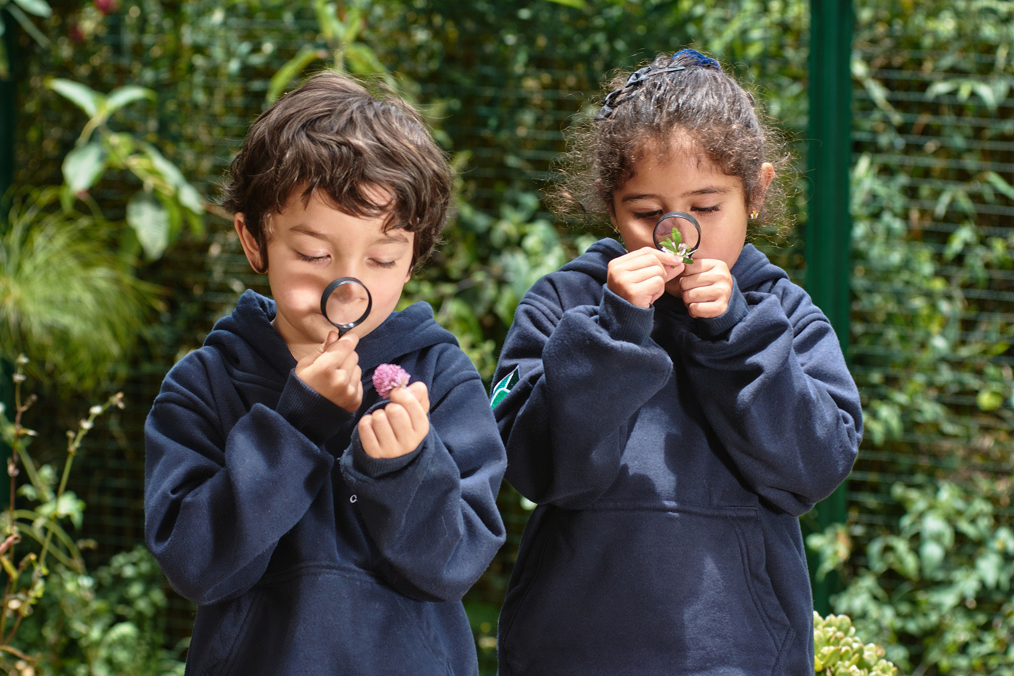 Colegio La Colina: aprender en un aula viva para educar integralmente