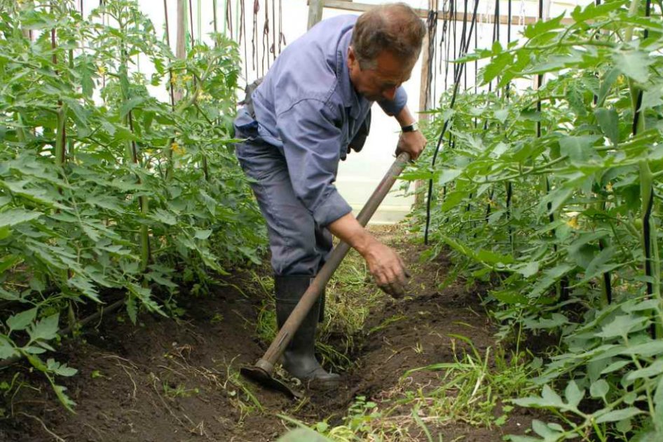 Ayudas para el agro han costado $120.000 millones, revela Gobierno