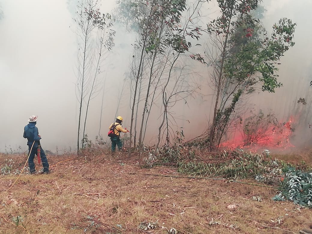 En Cundinamarca, 10 municipios han sido afectados por incendios