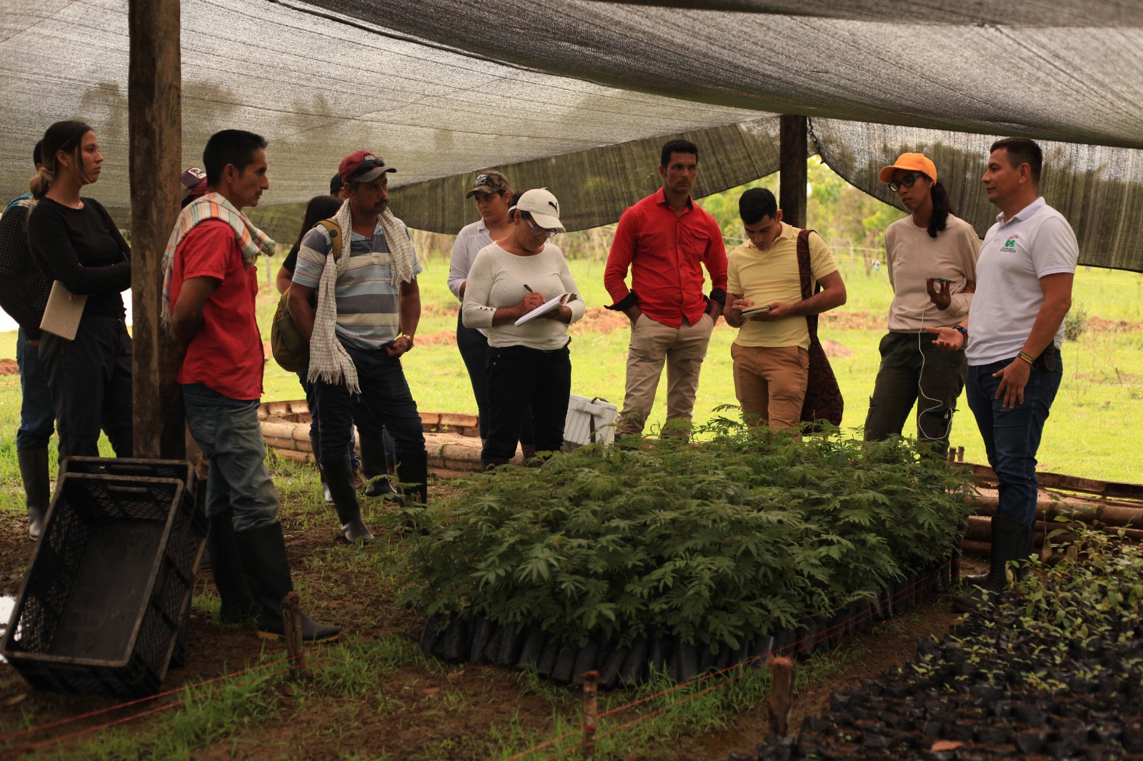 Participación y diálogo para la construcción de la política pública de agroecología