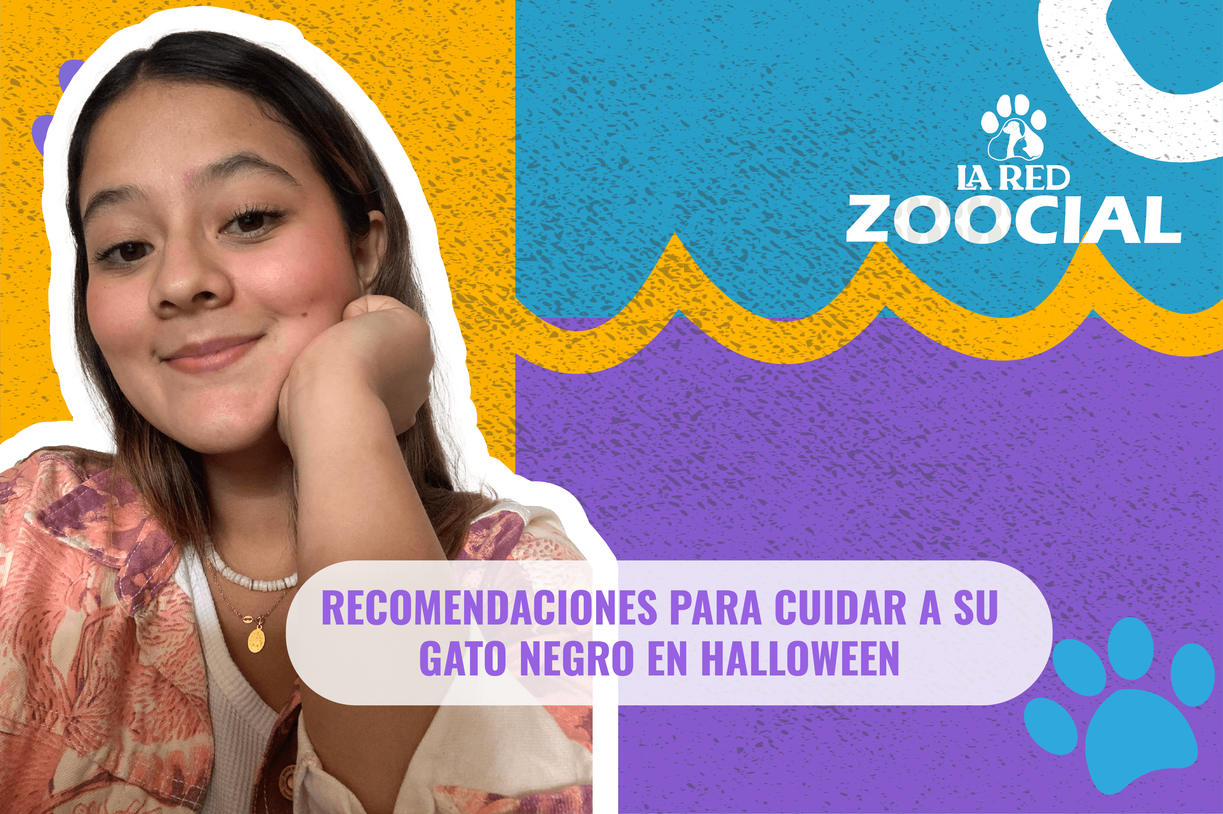 Recomendaciones para cuidar a su gato negro en Halloween