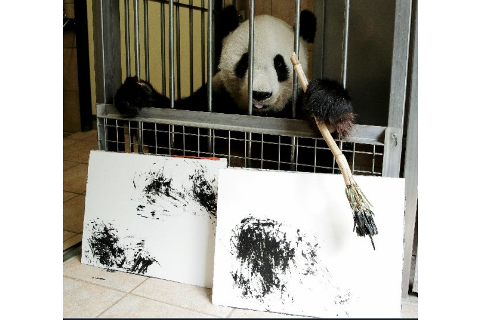 Yang Yang, la osa panda que realiza obras de arte