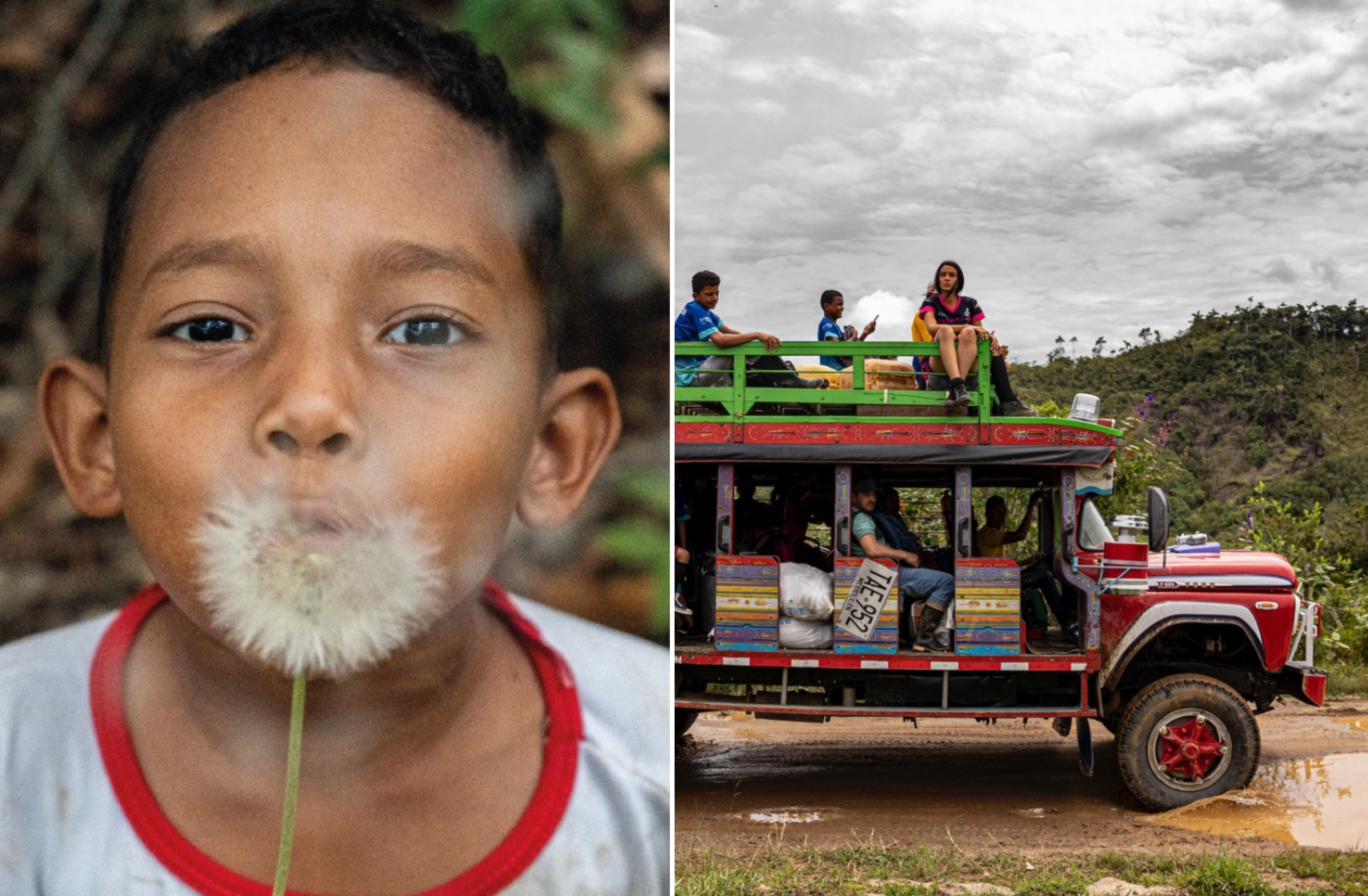 Semillas de Paz: visite la exposición de ex-FARC que apuestan a la reconciliación