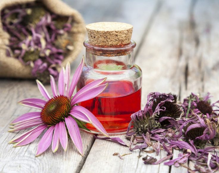 Esta hierba tiene tantos beneficios para tu cuerpo y en especial a tu sistema inmune qué te sorprenderá. Aprende a prepararla en casa.