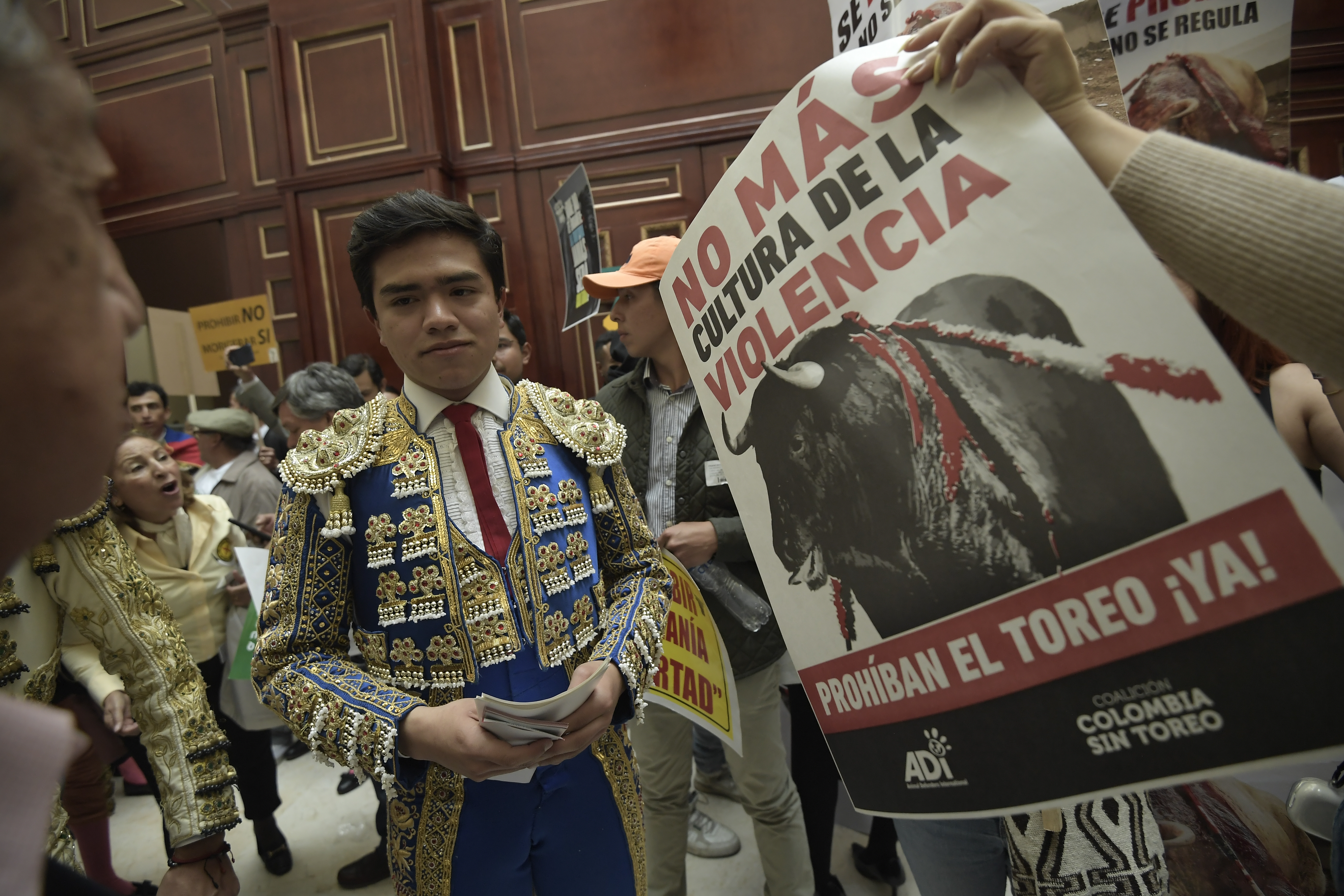 ¿Cuándo empieza la prohibición de las corridas de toros en Colombia? ABC del proyecto