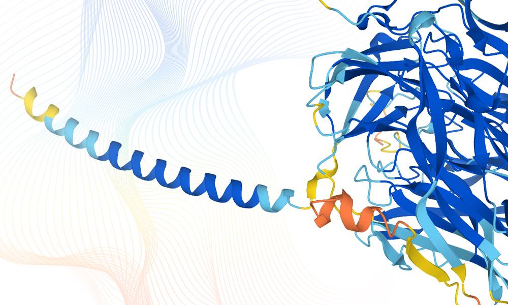Predicen la estructura de casi todas las proteínas que forman un ser humano
