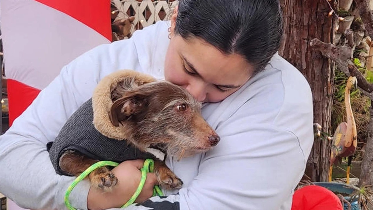 Milagro de Navidad: perro se reencuentra con su familia tras casi cinco años perdido