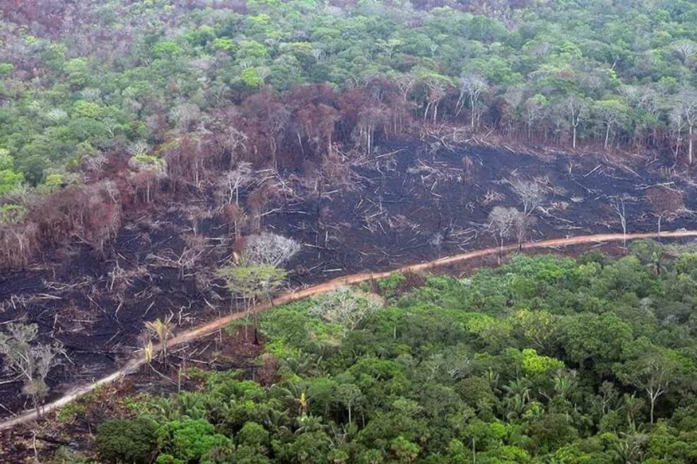 Una carrera de ciclismo para detener la deforestación en la Amazonía