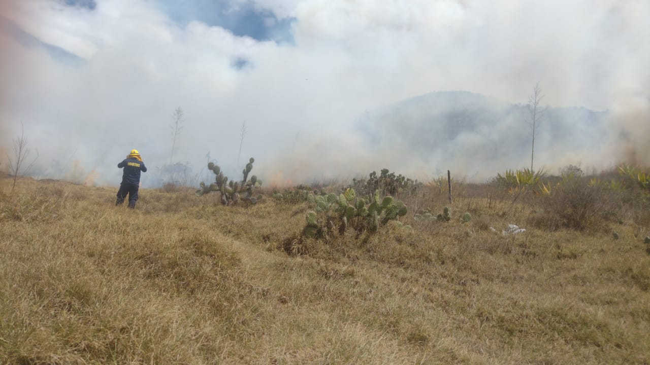 Se presenta incendio forestal en Cerro Gordo del municipio de Mosquera, en Cundinamarca