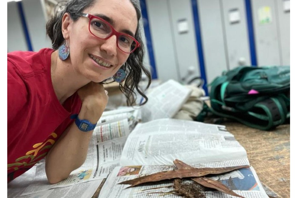 Alejandra Vasco, PhD en Biología, se ha dedicado a estudiar un grupo en el que Colombia es potencia: los helechos.