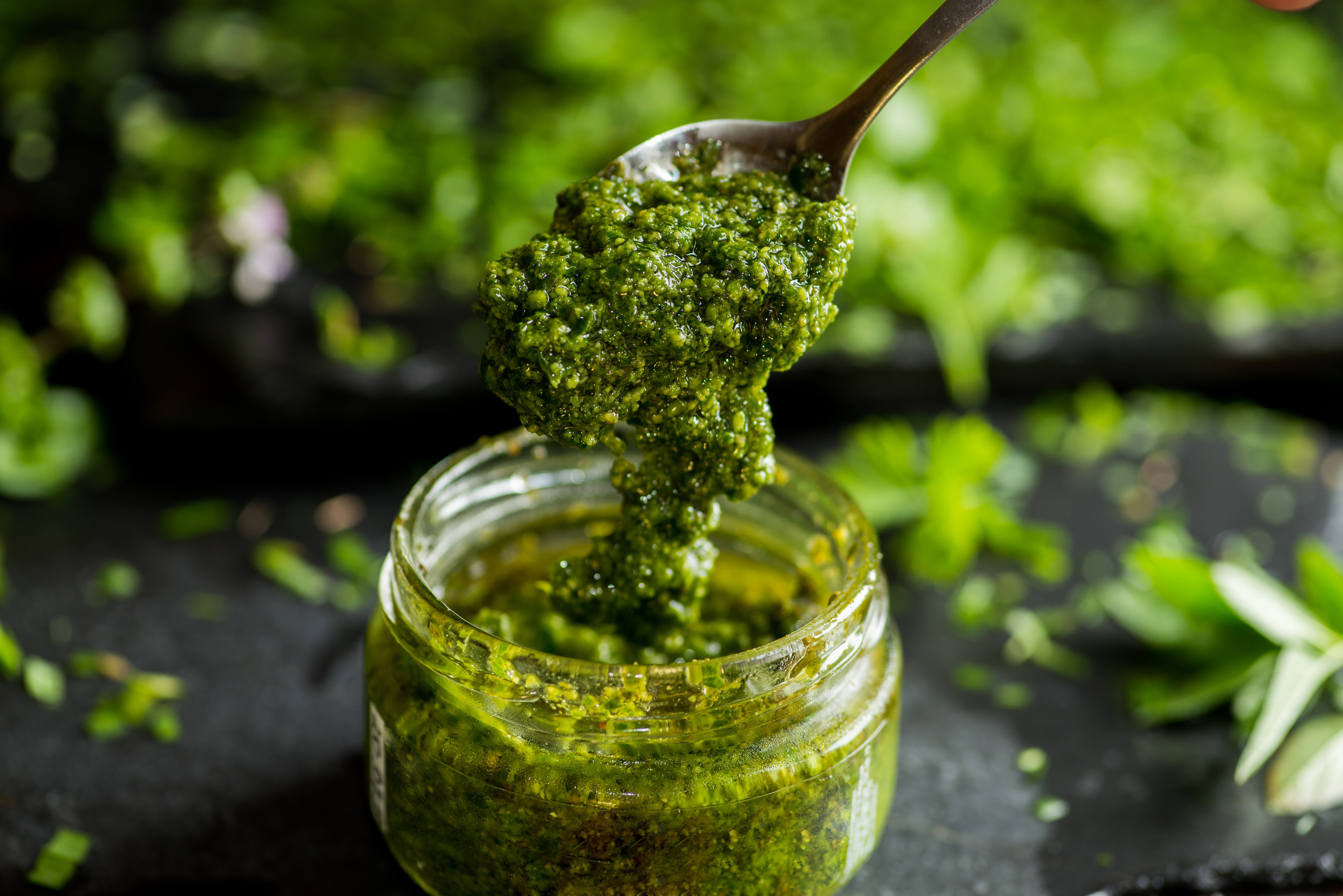 ¿Pesto de cilantro? Aquí te enseñamos la receta